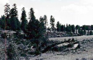 File:Beaver Creek Massacre Site.jpg