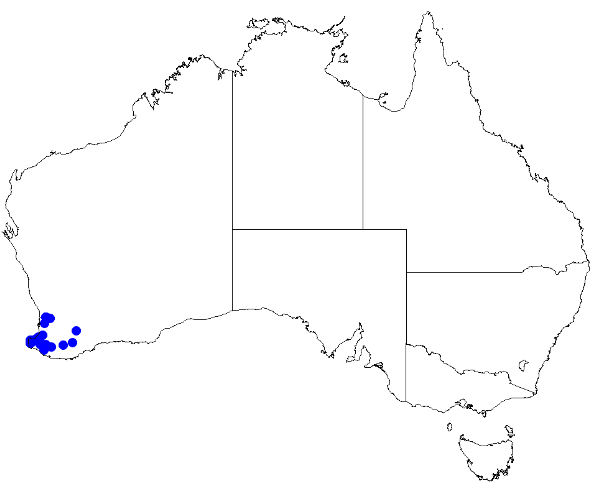 File:Boronia defoliata DistMap31.png