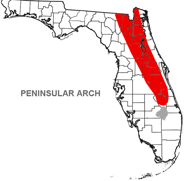 File:Florida Peninsular Arch.png