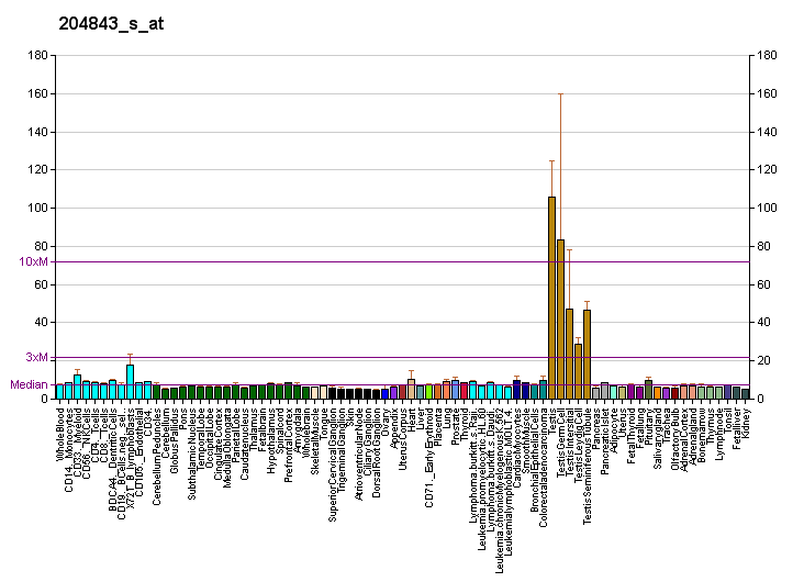 File:PBB GE PRKAR2A 204843 s at fs.png