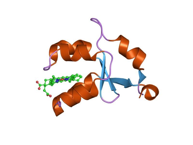 File:PDB 1es1 EBI.jpg