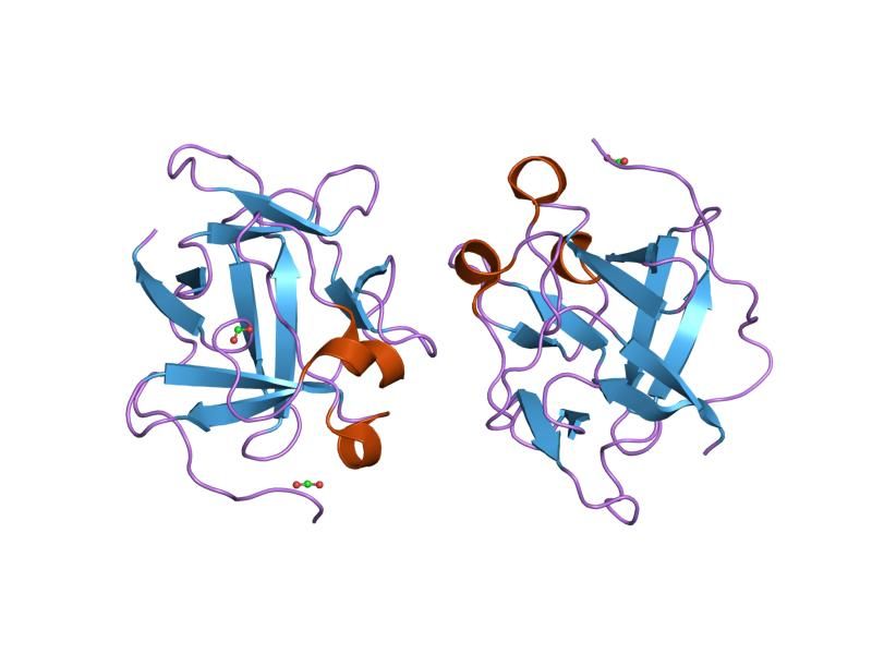 File:PDB 1jy0 EBI.jpg