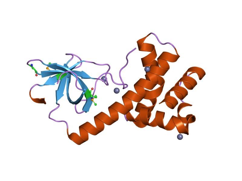 File:PDB 1kl9 EBI.jpg