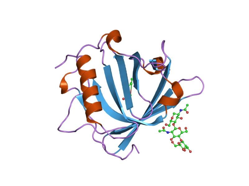 File:PDB 1qqs EBI.jpg