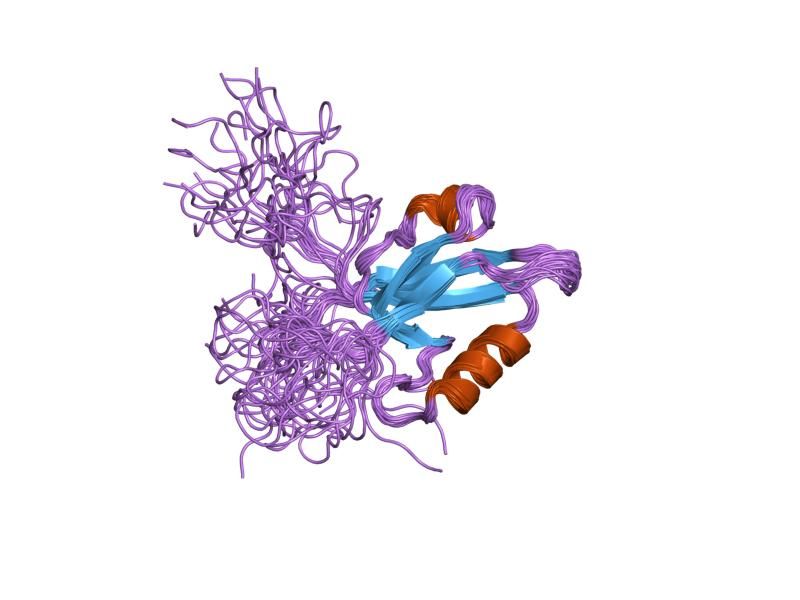 File:PDB 1uew EBI.jpg