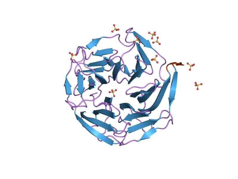 File:PDB 1x2r EBI.jpg