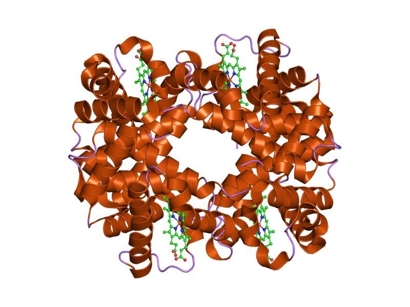 File:PDB 1y46 EBI.jpg