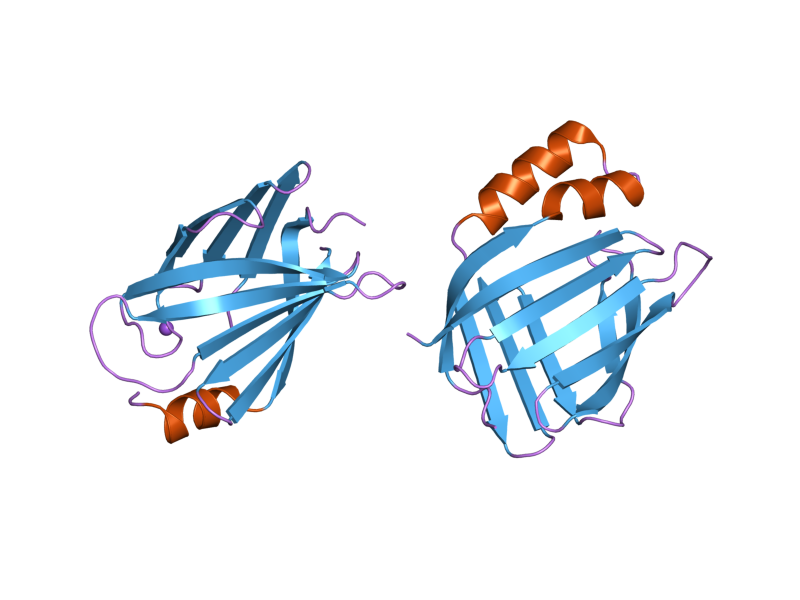 File:PDB 2frs EBI.png