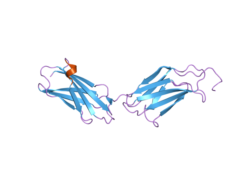 File:PDB 2gee EBI.png