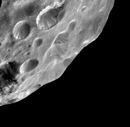 File:Phoebe 13-06-2004.jpg