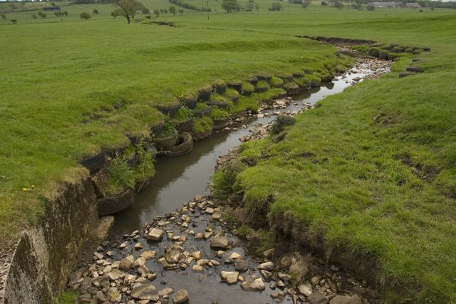 File:River Loud.jpg