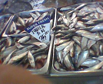 File:Sardinella tawilis in bucket.jpg