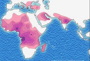 File:Sickle cell distribution.jpg