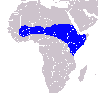 File:Tockus erythrorhynchus - Distribution.png