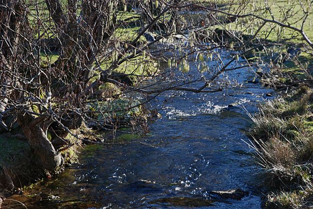 File:Afon Dyffryn-gwyn - geograph.org.uk - 1704272.jpg