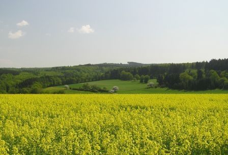 File:Ansicht Grauer Kopf von Südwesten.jpg