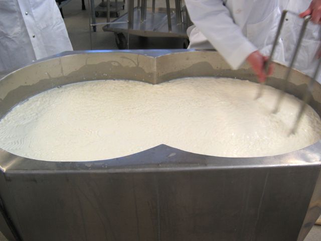 File:Curd Cutting.jpg