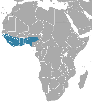 File:Gambian Mongoose area.png