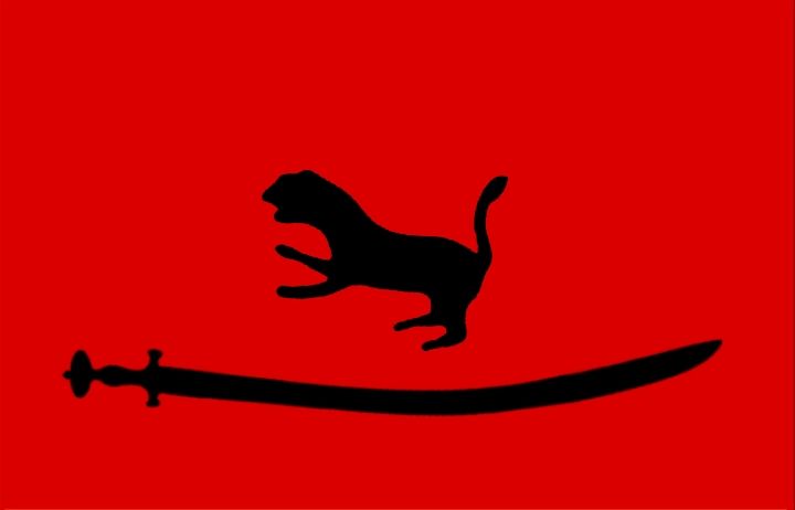 File:Kalhora Dynasty Flag.jpg