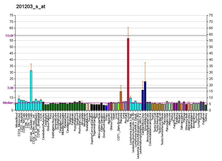 File:PBB GE RRBP1 201203 s at fs.png