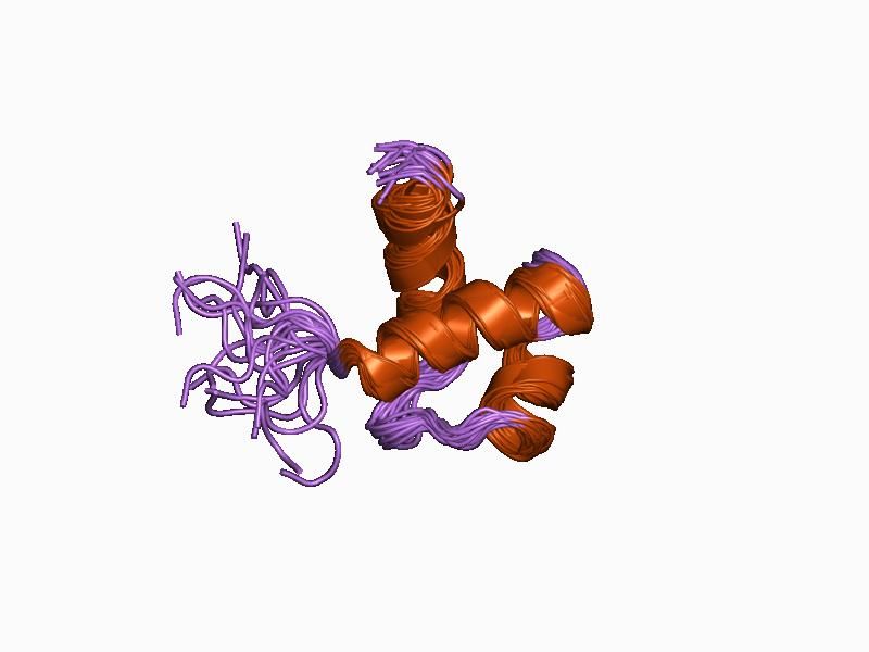 File:PDB 1ba5 EBI.jpg