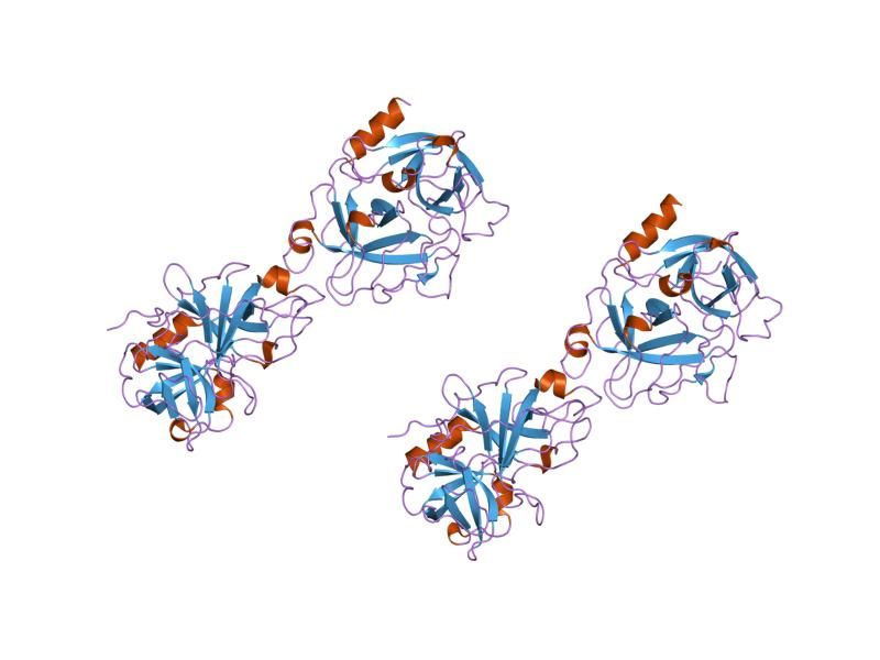 File:PDB 1ddj EBI.jpg