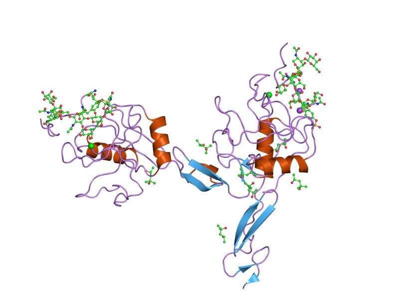 File:PDB 1g1s EBI.jpg