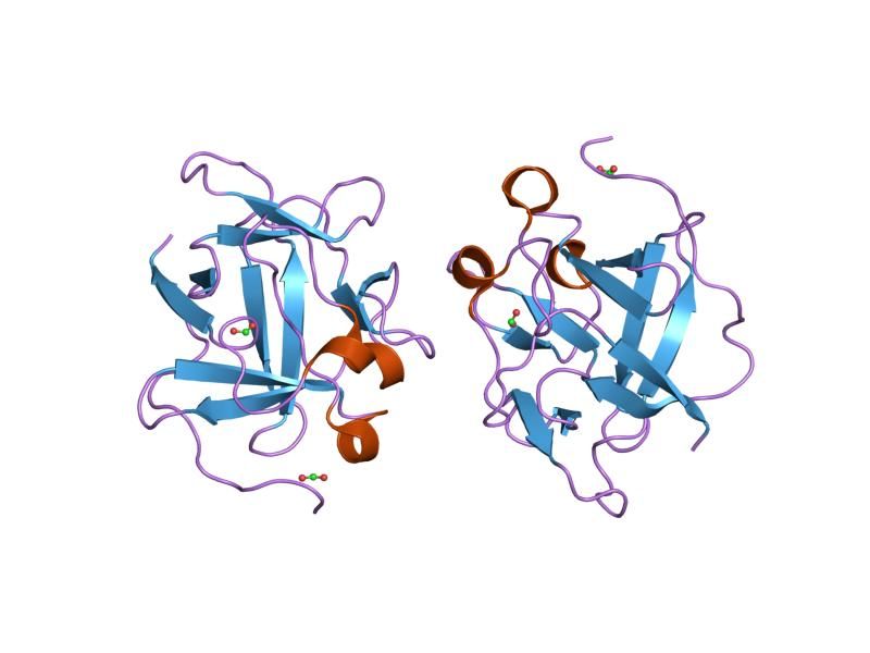 File:PDB 1jt4 EBI.jpg