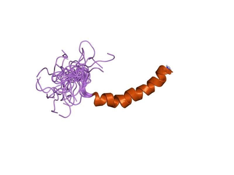 File:PDB 1ron EBI.jpg