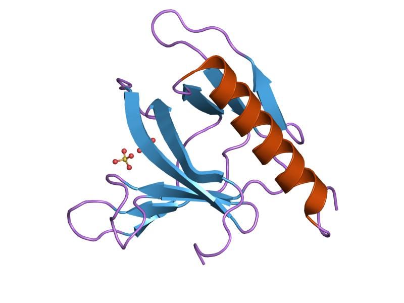 File:PDB 1u2b EBI.jpg