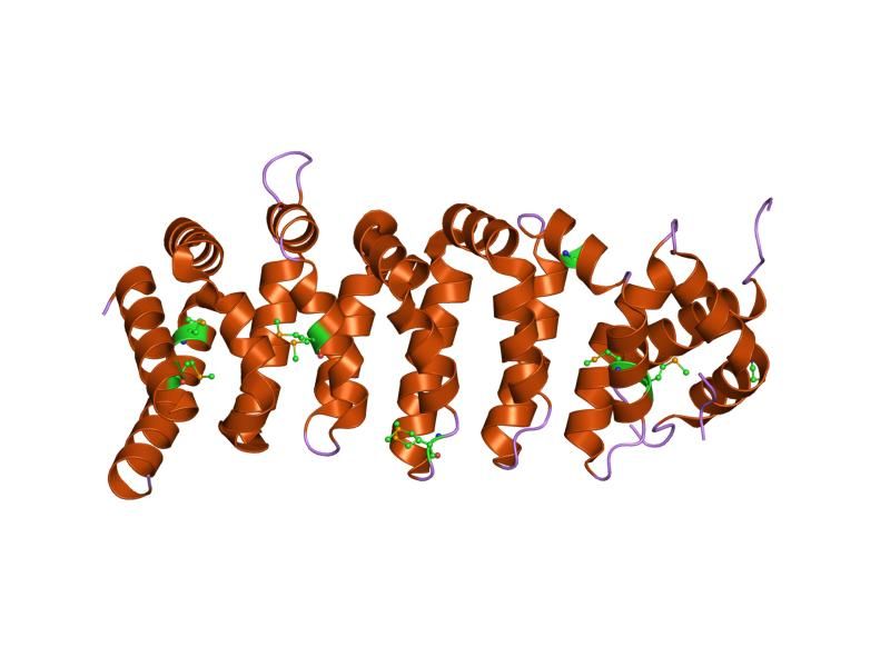 File:PDB 1upk EBI.jpg