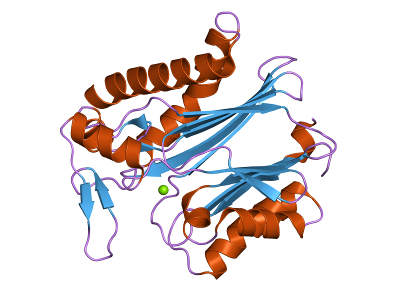 File:PDB 2iq1 EBI.png