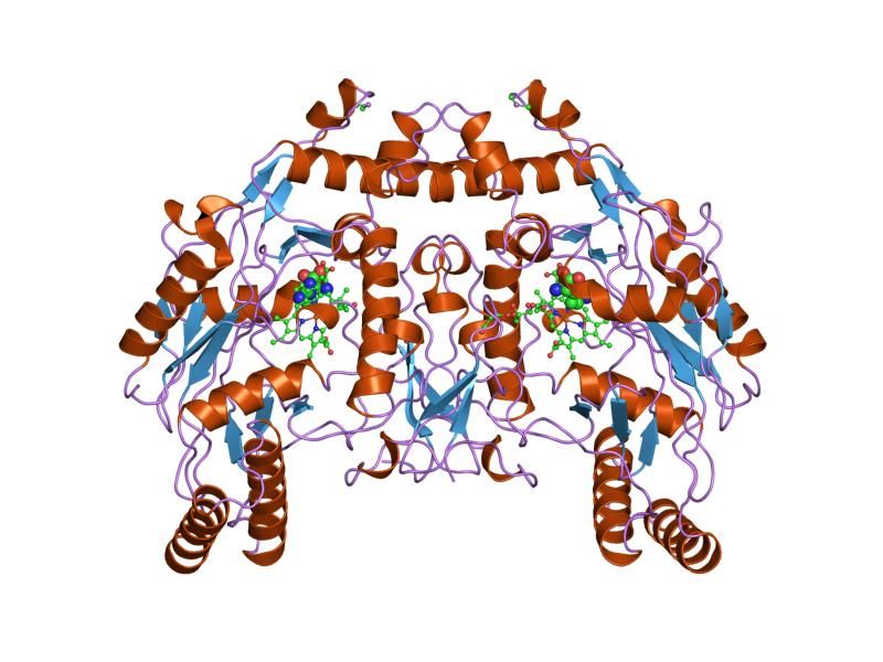 File:PDB 4nse EBI.jpg