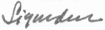 File:Sigurdur Thorarinssons signature.jpg