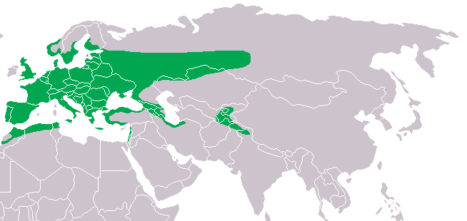 File:Strix aluco distribution map.png