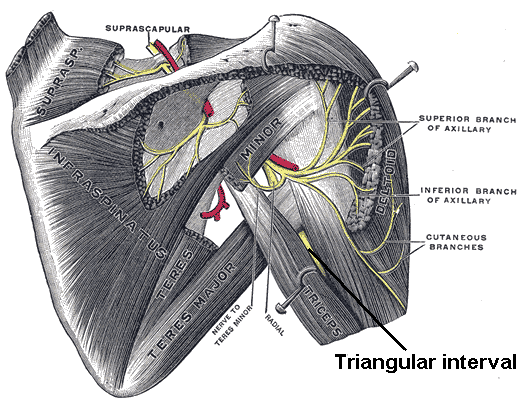 File:Triangular interval.PNG