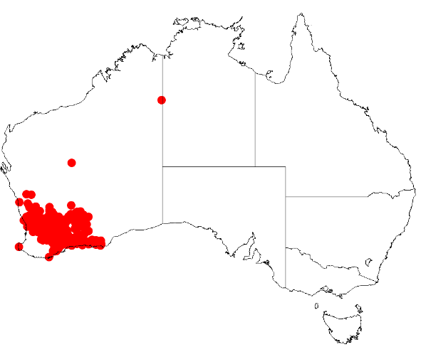 File:Acacia lasiocalyxDistMap510.png