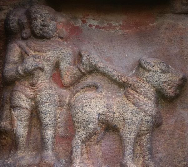 File:Alangu mastiff real appearence sculpture dharasuram temple.jpg