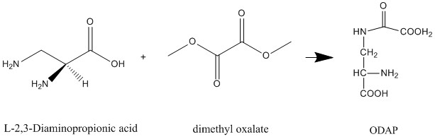 File:Chemical synthesis of ODAP.png