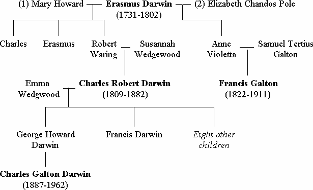 File:Darwin family tree v1.png