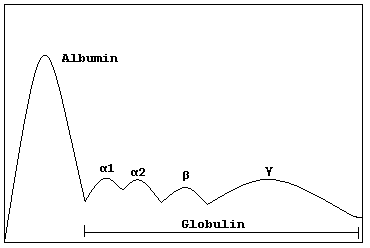 File:Electrophoresis.png