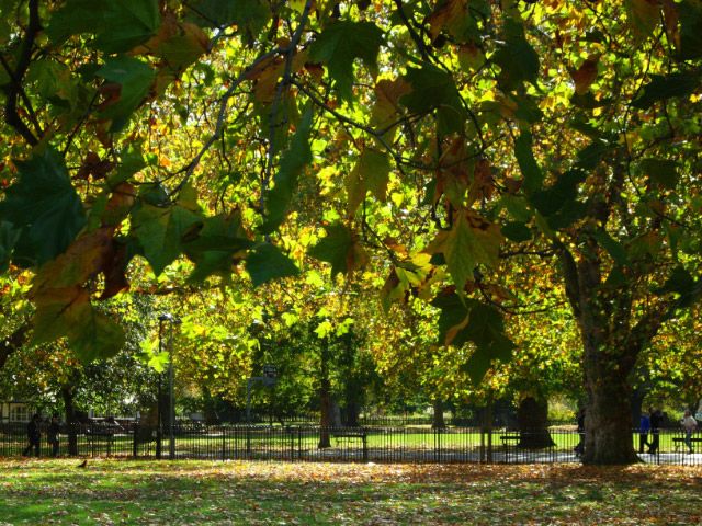 File:Kennington Park - geograph.org.uk - 1009312.jpg