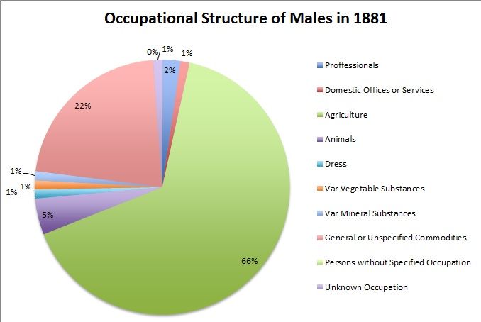 File:Occupational structure of males.jpg