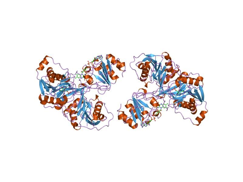 File:PDB 1efp EBI.jpg