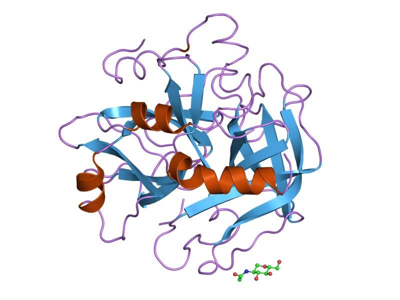 File:PDB 1hai EBI.jpg