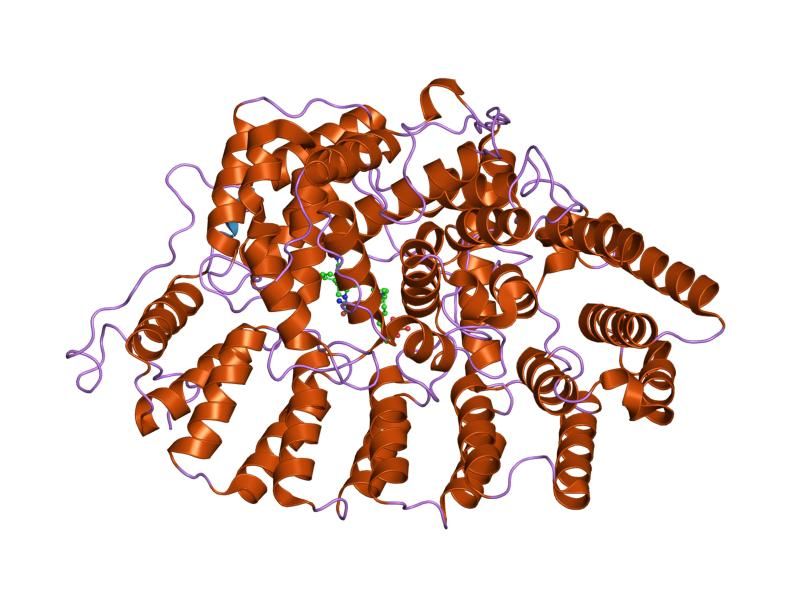 File:PDB 1n9a EBI.jpg