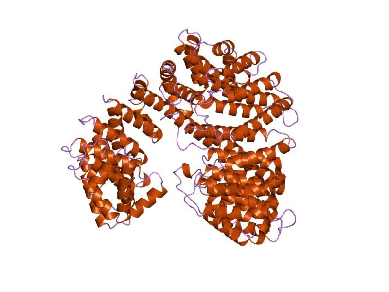 File:PDB 1qgk EBI.jpg