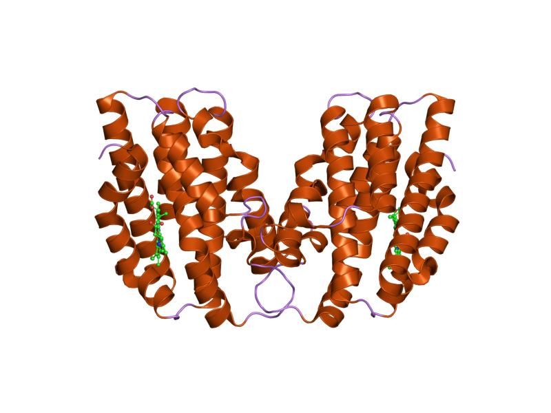 File:PDB 1xk2 EBI.jpg