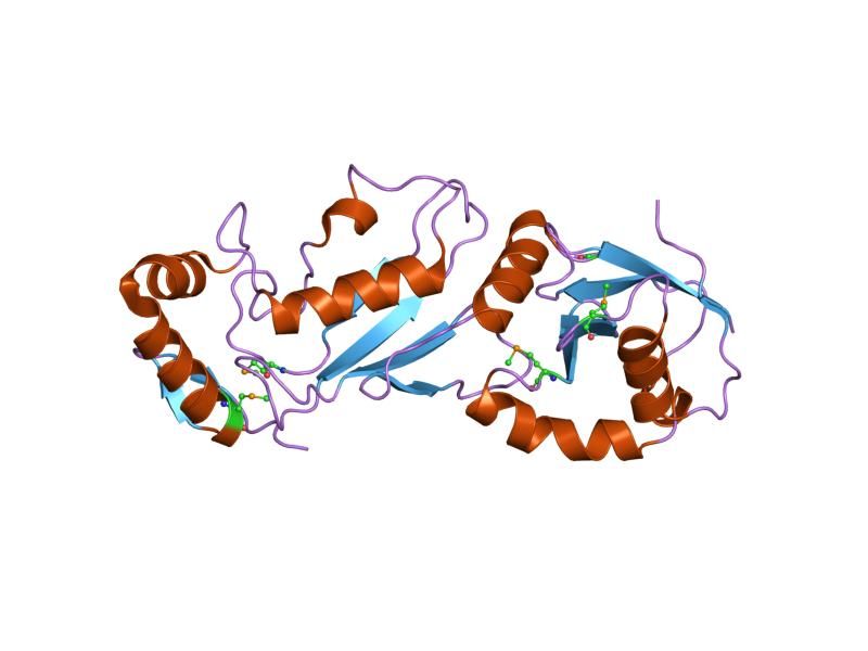 File:PDB 1y8x EBI.jpg