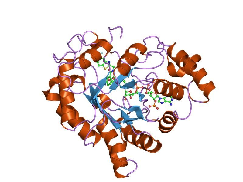 File:PDB 2hvn EBI.jpg